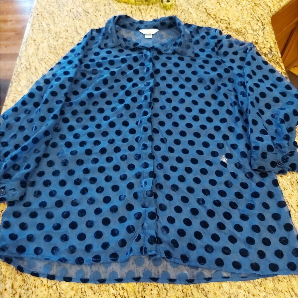 CJ Banks Women’s 1X Blue Sheer Polka Dot Button Front Blouse Velvet Burnout Plus